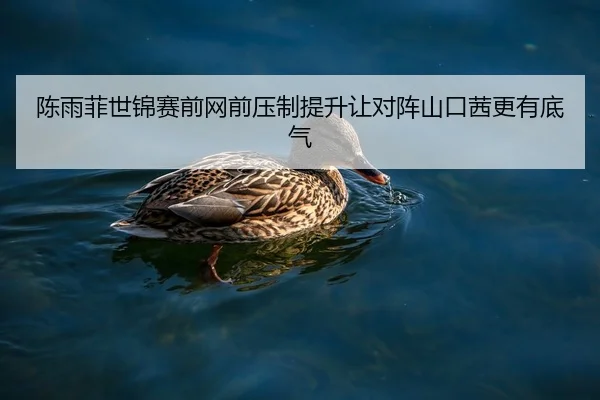 陈雨菲世锦赛前网前压制提升让对阵山口茜更有底气